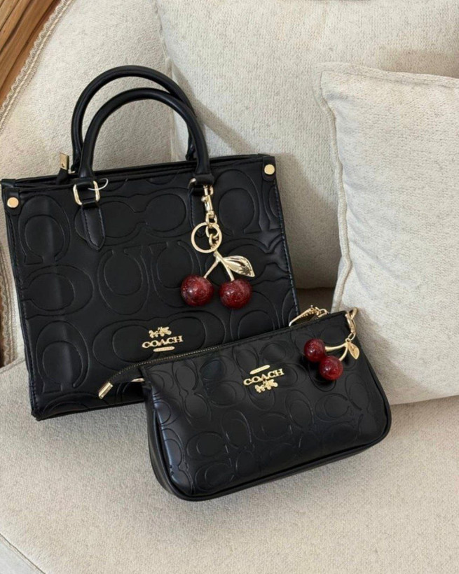 کیف زنانه طرح کوچ ۳۰۹