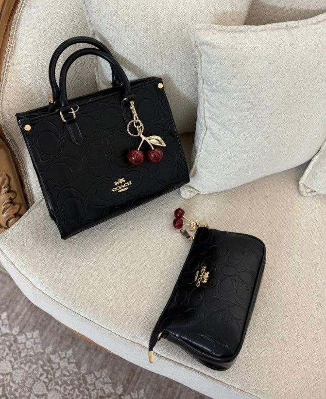 کیف زنانه طرح کوچ ۳۰۹