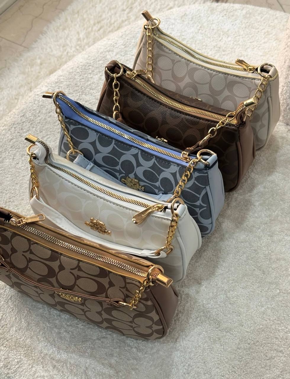 کیف کوچ اقتصادی
